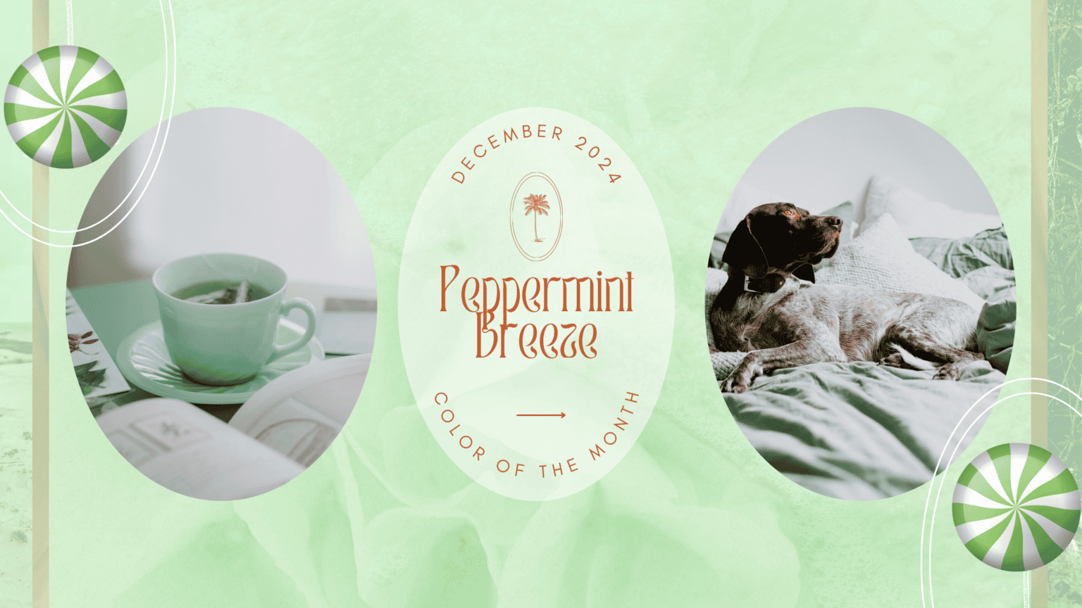Pepermint Color Peppermint Breeze Inspiration: The Mint Green Color of the Season ...