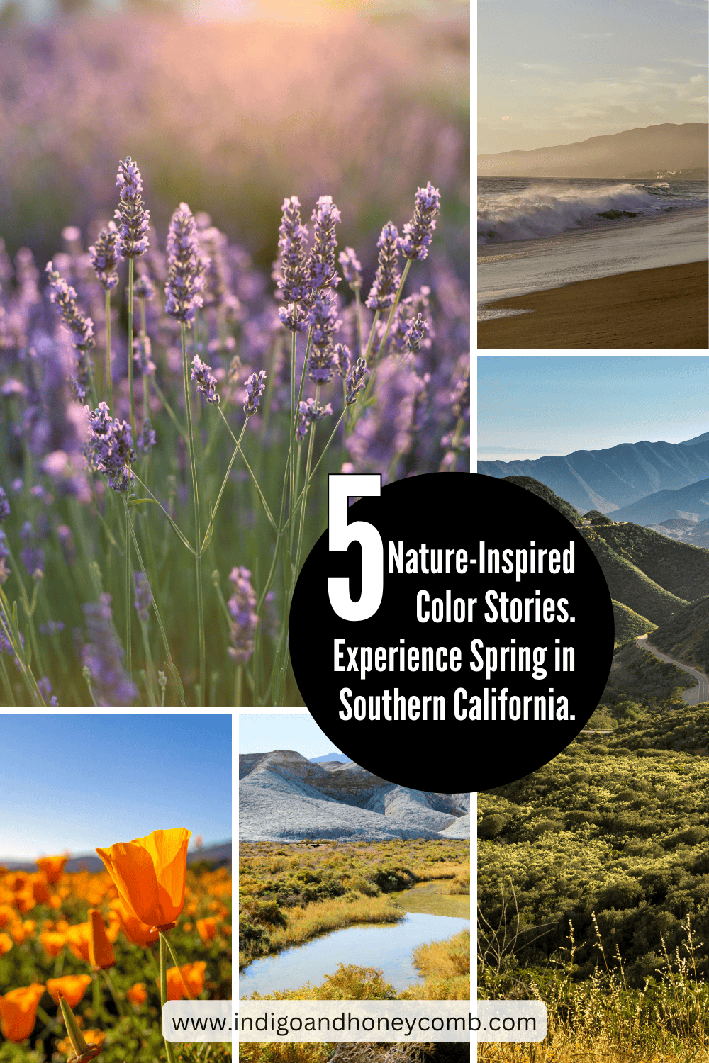 How to Experience Southern California Spring Color Palettes