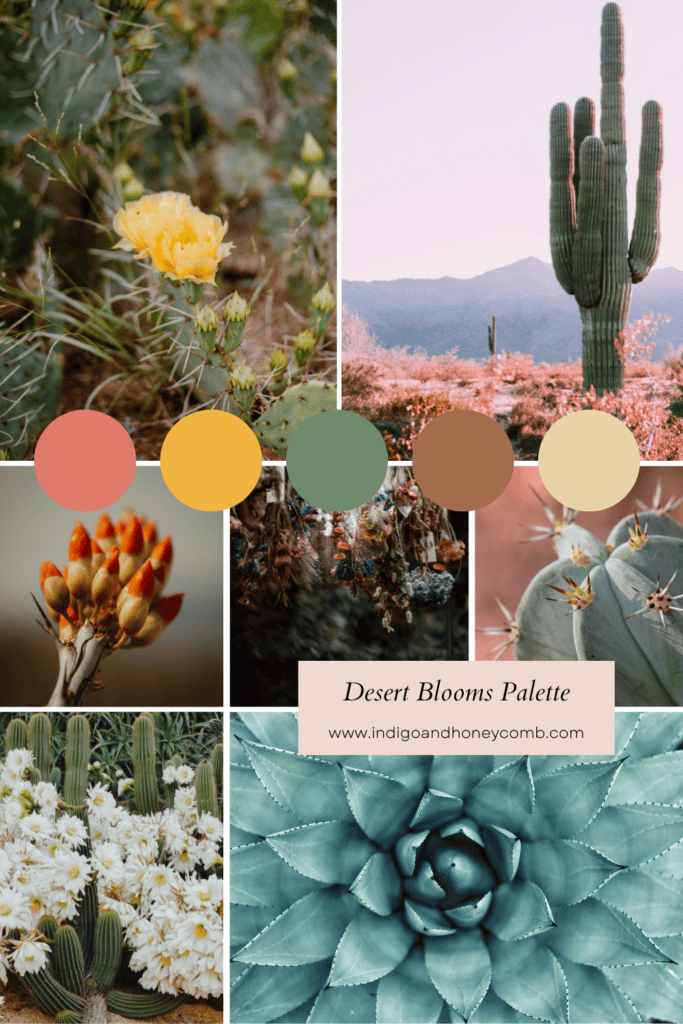 spring nature color palette. desert blooms palette.