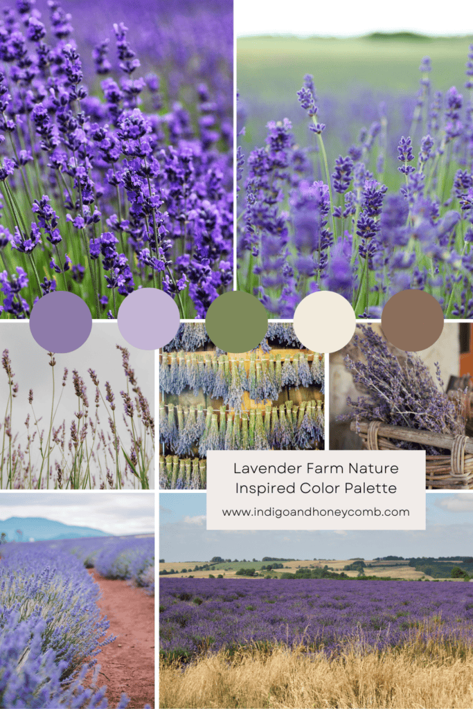 Southern California Spring Color Palettes