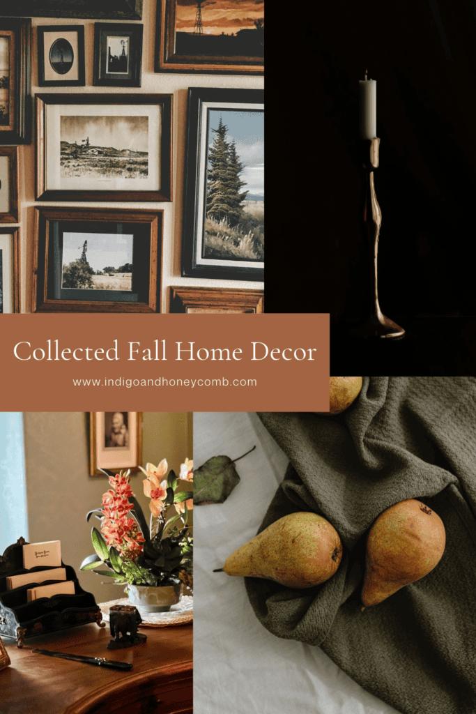 collected fall home decor